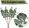 64 PCS Artificial Eucalyptus Leaves Stems Sage Green Blush Balloons, 12 Inch Sage Green Blush Nude Balloons with Artificial Eucalyptus for Baby Bridal Shower Birthday Safari Party Decoration